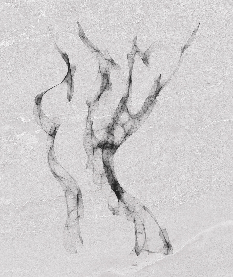 Artist rendition of a female body